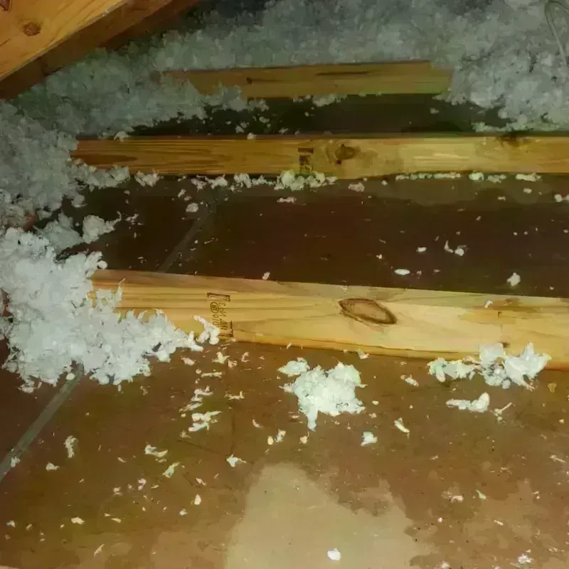 Attic Water Damage in Milford, DE